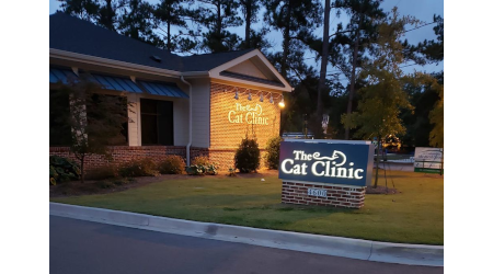 The Cat Clinic